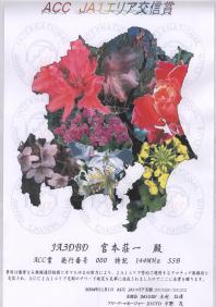 �`�b�b�i�`�P�G���A��M�܁@�`�b�b��