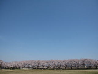 0410今宮公園