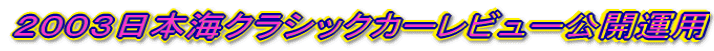 �Q�O�O�R���{�C�N���V�b�N�J�[���r���[���J�^�p