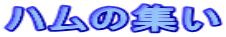 n̏W