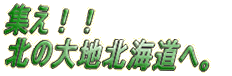 WII k̑nkCցB 