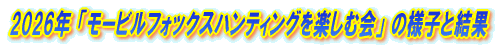 ��S�W�񃂁[�r���t�H�b�N�X�n���e�B���O���� 